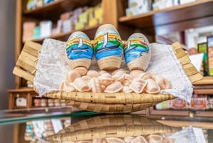 Da Lisbona: Trasferimento a Porto con fermate fino a 3 città