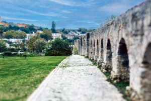 Da Lisbona: Trasferimento a Porto con fermate fino a 3 città