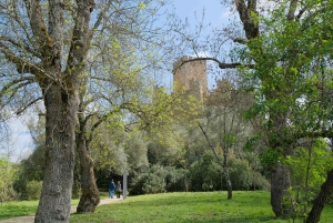 De Lisboa: Visita a Tomar, Convento de Cristo e Castelo de Almourol