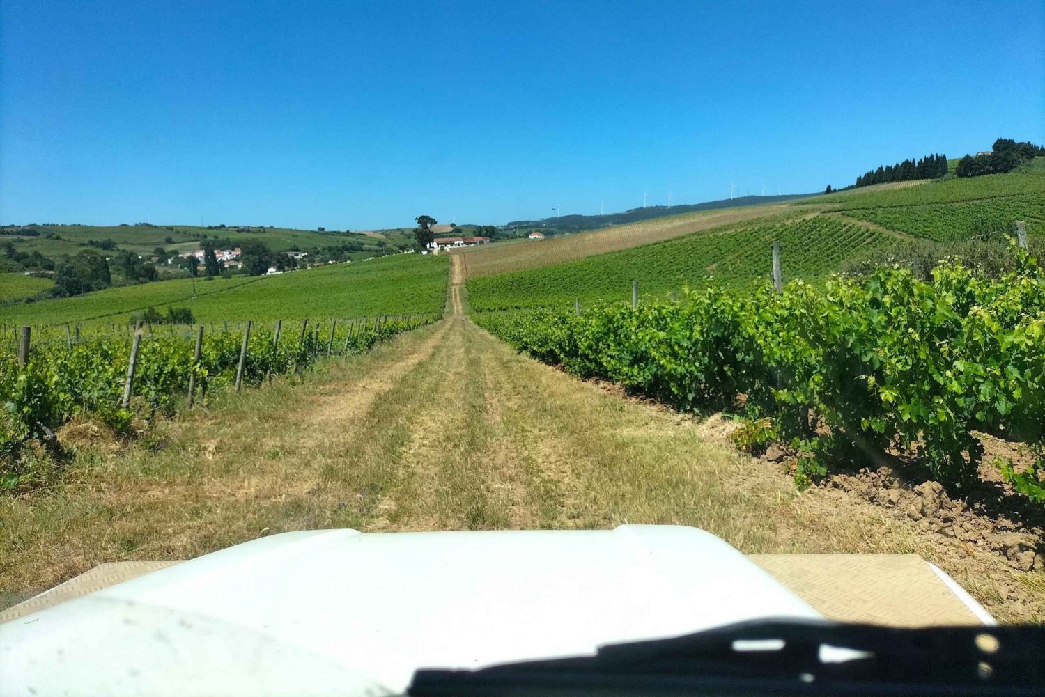 Adega, provas e vinhedos com tração às quatro rodas: Viagem de 1 dia a partir de Lisboa