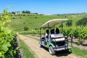 Weinkeller, Verkostungen und 4WD-Weinberge: Halbtagesausflug von Lissabon