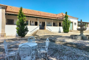 Weinkeller, Verkostungen und 4WD-Weinberge: Halbtagesausflug von Lissabon