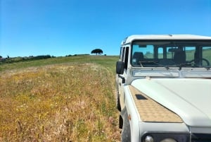 Weinkeller, Verkostungen und 4WD-Weinberge: Halbtagesausflug von Lissabon