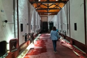 Weinkeller, Verkostungen und 4WD-Weinberge: Halbtagesausflug von Lissabon