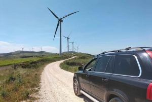 Weinkeller, Verkostungen und 4WD-Weinberge: Halbtagesausflug von Lissabon