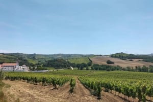 Weinkeller, Verkostungen und 4WD-Weinberge: Halbtagesausflug von Lissabon