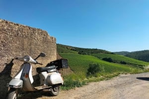 Weinkeller, Verkostungen und 4WD-Weinberge: Halbtagesausflug von Lissabon