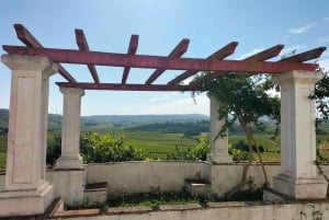 Weinkeller, Verkostungen und 4WD-Weinberge: Halbtagesausflug von Lissabon