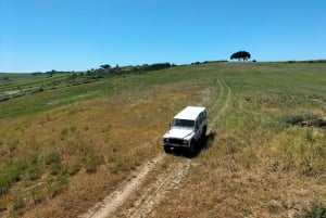 Weinkeller, Verkostungen und 4WD-Weinberge: Halbtagesausflug von Lissabon