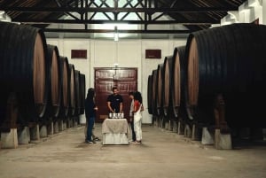 Weinkeller, Verkostungen und 4WD-Weinberge: Halbtagesausflug von Lissabon