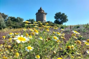 Weinkeller, Verkostungen und 4WD-Weinberge: Halbtagesausflug von Lissabon