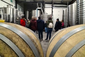 Weinkeller, Verkostungen und 4WD-Weinberge: Halbtagesausflug von Lissabon