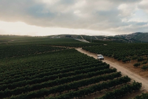 Weinkeller, Verkostungen und 4WD-Weinberge: Halbtagesausflug von Lissabon