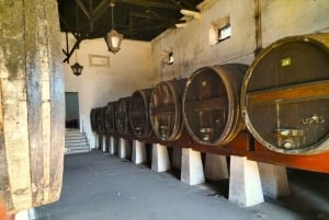 Weinkeller, Verkostungen und 4WD-Weinberge: Halbtagesausflug von Lissabon