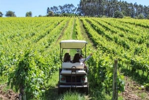 Weinkeller, Verkostungen und 4WD-Weinberge: Halbtagesausflug von Lissabon