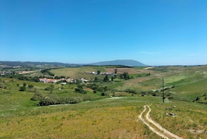 Weinkeller, Verkostungen und 4WD-Weinberge: Halbtagesausflug von Lissabon
