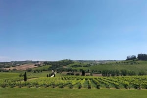 Weinkeller, Verkostungen und 4WD-Weinberge: Halbtagesausflug von Lissabon