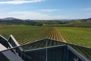 Weinkeller, Verkostungen und 4WD-Weinberge: Halbtagesausflug von Lissabon