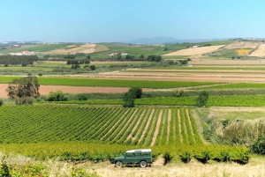 Weinkeller, Verkostungen und 4WD-Weinberge: Halbtagesausflug von Lissabon