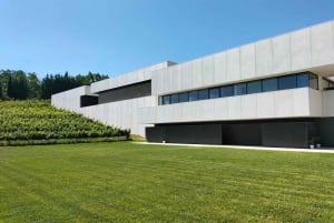 Weinkeller, Verkostungen und 4WD-Weinberge: Halbtagesausflug von Lissabon