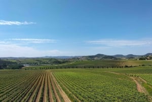 Weinkeller, Verkostungen und 4WD-Weinberge: Halbtagesausflug von Lissabon