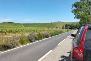 Weinkeller, Verkostungen und 4WD-Weinberge: Halbtagesausflug von Lissabon