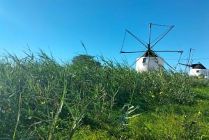 Weinkeller, Verkostungen und 4WD-Weinberge: Halbtagesausflug von Lissabon