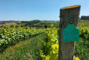 Weinkeller, Verkostungen und 4WD-Weinberge: Halbtagesausflug von Lissabon