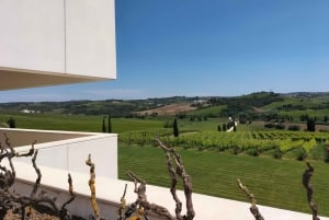 Weinkeller, Verkostungen und 4WD-Weinberge: Halbtagesausflug von Lissabon