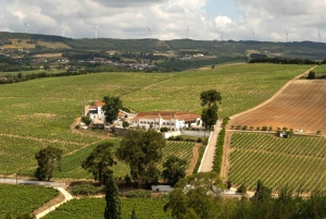 Weinkeller, Verkostungen und 4WD-Weinberge: Halbtagesausflug von Lissabon