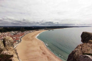 From Lisbon: Transfer to Porto with 3 Stops
