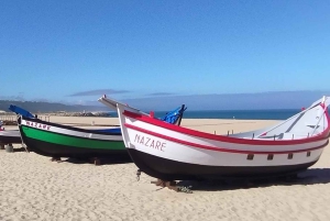 From Lisbon: Transfer to Porto with 3 Stops