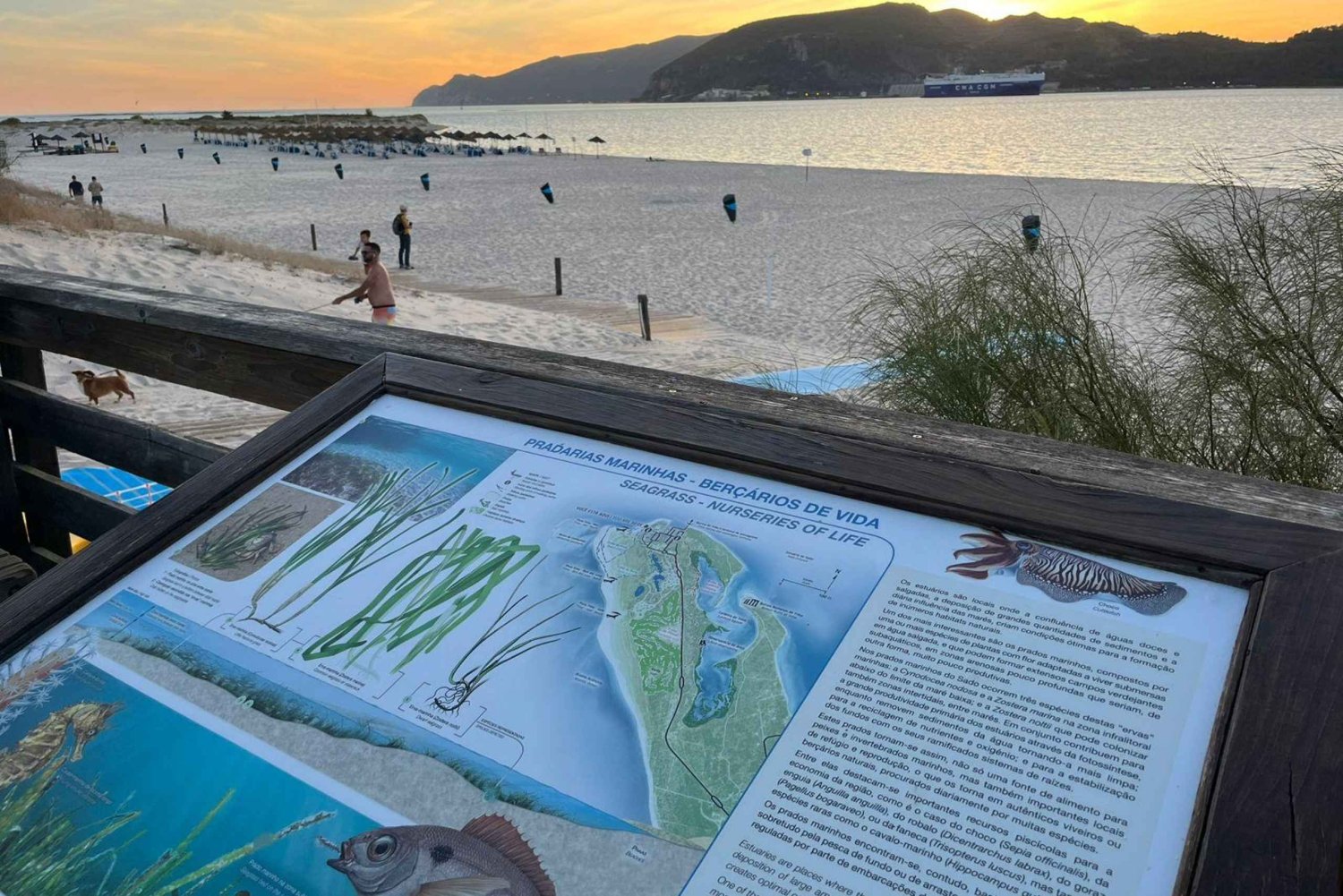 De Lisboa: Tróia e adega museu com degustação de vinhos Bacalhoa.