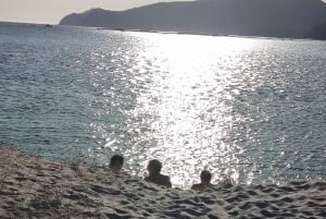 De Lisboa: Tróia e adega museu com degustação de vinhos Bacalhoa.