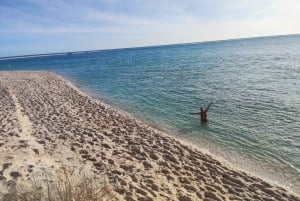 De Lisboa: Tróia e adega museu com degustação de vinhos Bacalhoa.