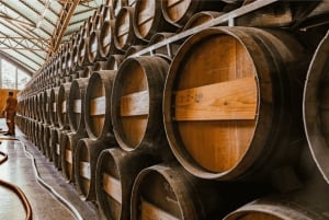 De Lisboa: Tróia e adega museu com degustação de vinhos Bacalhoa.