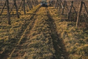 Vanuit Lissabon: oldtimer + wijnproeverij + ophalen