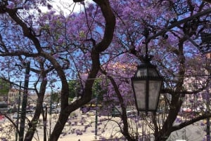 From Porto to Lisbon Full Day Tour