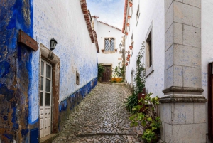 Z Porto: Transfer do Lizbony z przystankami do 3 miast