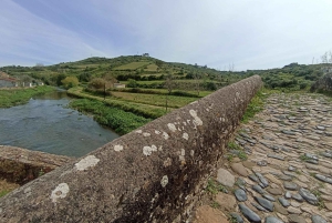 A partir de Sintra, Mafra ou Ericeira: Caminhada e Wine Tour