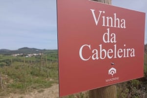 A partir de Sintra, Mafra ou Ericeira: Caminhada e Wine Tour