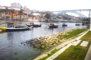 Heldags privat rundtur från Lissabon till Porto