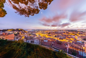 Half-Day Private Tour in Lisbon