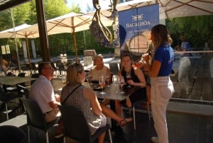 Sesimbra: Half-Day Tour to Arrabida with Wine Tasting