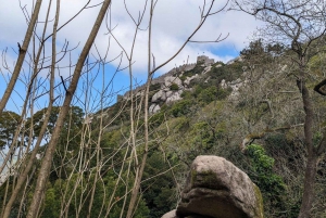 Sintra Hike: Past palaces and hidden paths.
