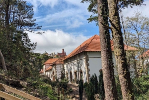 Sintra Hike: Past palaces and hidden paths.
