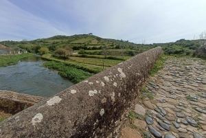 From Sintra, Mafra, or Ericeira: Hike and Wine Tour