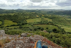 From Sintra, Mafra, or Ericeira: Hike and Wine Tour