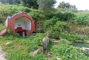 From Sintra, Mafra, or Ericeira: Hike and Wine Tour