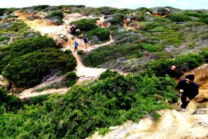 Hiking Tour Along the West Coastline